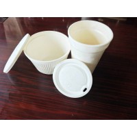 純淀粉全降解餐具及包裝制品生產(chǎn)流水線