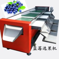 篩網(wǎng)帶篩選藍(lán)莓的選果機(jī)不傷果粉