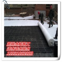 h20夾層排水板hdpe地下室1200g卷材九江種草綠化廠
