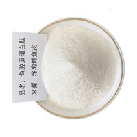 魚膠原蛋白-粉廠家√魚膠原蛋白-粉供應(yīng)