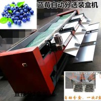 保護(hù)藍(lán)莓果粉的藍(lán)莓篩選機(jī)