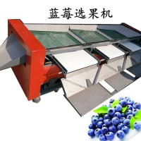 篩網(wǎng)式藍(lán)莓直徑分級(jí)機(jī)