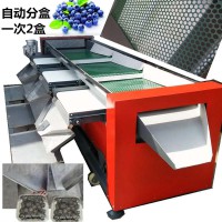 山東藍(lán)莓分選機(jī)篩網(wǎng)晃動(dòng)分級(jí)大小