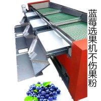 煙臺(tái)藍(lán)莓分級(jí)選果機(jī)質(zhì)量好