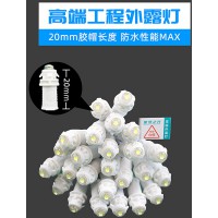 LED外露燈 星羅之光工程款