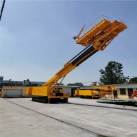 廠家可定制履帶式深坑打樁機(jī) 地基護(hù)坡錨固鉆機(jī)價(jià)格