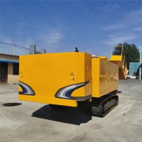 國(guó)內(nèi)優(yōu)質(zhì)履帶式護(hù)坡樁機(jī) 錨固履帶鉆機(jī) 基坑支護(hù)鉆機(jī)