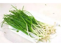 胡蔥工廠配送