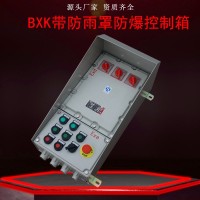防爆控制箱煉油廠儀表控制箱 加厚型碳鋼控制箱 廠家定制