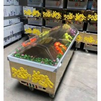 冰棺廠家制冷快捷雙壓縮機(jī)