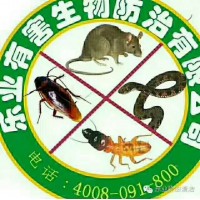 佛山抓蛇公司 佛山捕蛇公司 佛山驅(qū)蛇公司 佛山防蛇公司找樂(lè)業(yè)