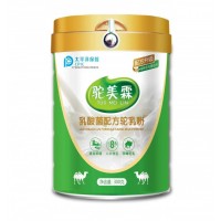 新疆駱駝奶粉 OEM貼牌代加工  廠家直招招商