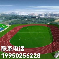 西昌學校操場足球場假草坪 自貢學校操場足球場假草坪