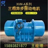 ZDS三相交流振動(dòng)電機(jī) YBZH粉塵防爆振動(dòng)電機(jī)