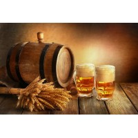 2025（山東）精釀啤酒與技術裝備展覽會暨“安琪釀造杯”論壇