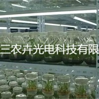 T8育苗生長組培燈，金線蓮組培燈，鐵皮石斛組培燈， 花卉育苗燈，白芨育苗組培燈，室內育苗組培燈，溫室大棚組培燈，各種花卉育苗組培燈，全光譜組培育苗燈，草莓生長補光燈，